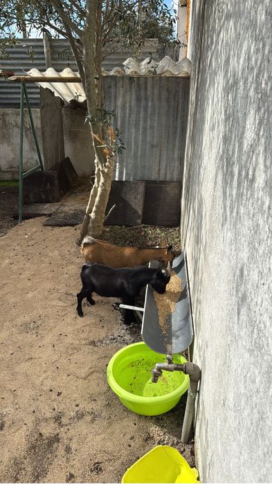 Espaço para festas de aniversário Espaço para festas e eventos Montijo