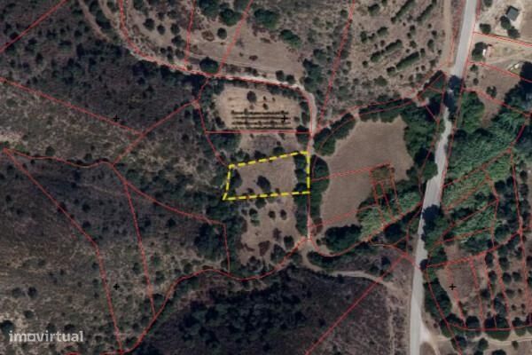 Terreno Rústico com 1080m2 perto Alcoutim.
