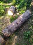 Świerk pień w kawałkach 70-120 cm
