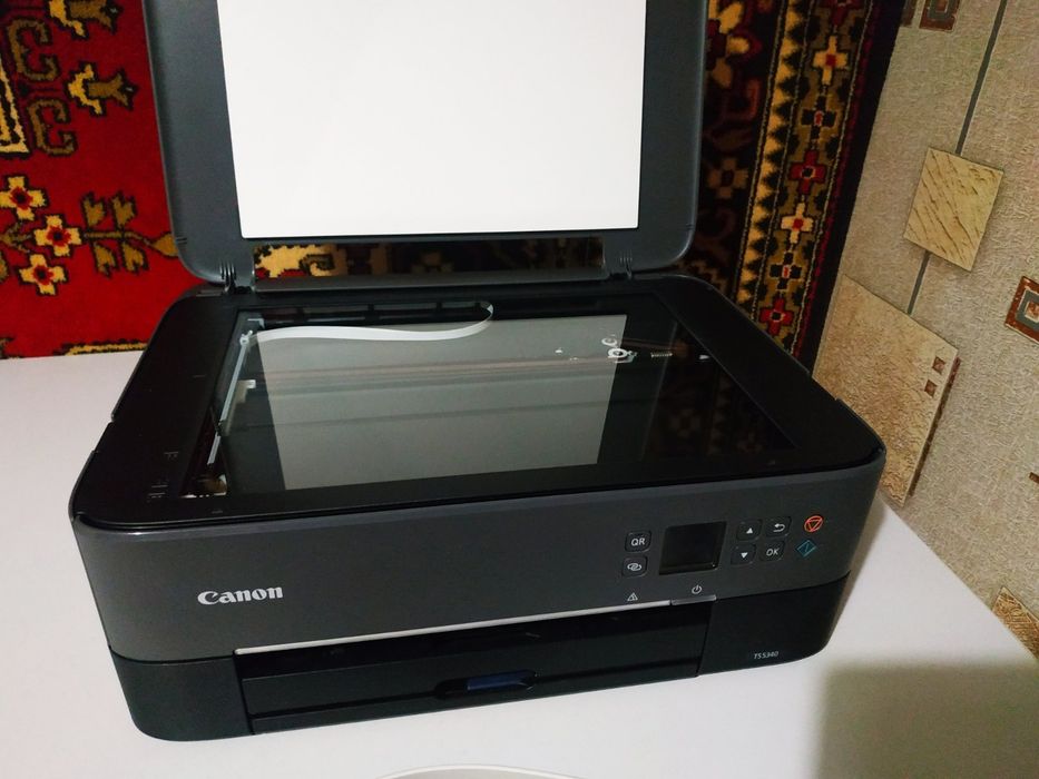 Принтер Canon PIXMA TS5340