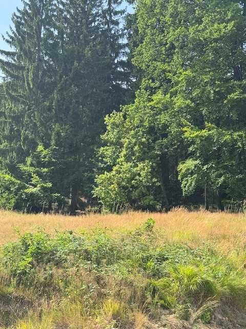 Działka budowlana w Kotlinie Kłodzkiej – dolnośląskie - bezpośrednio