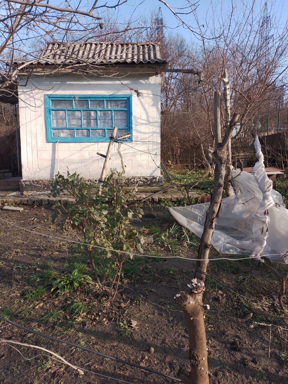 Сад у садовому товаристві біля Колеусівської