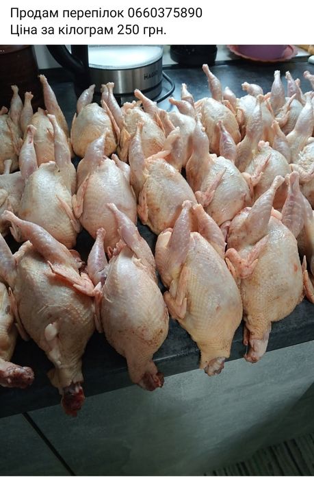 Продам все що на картинці