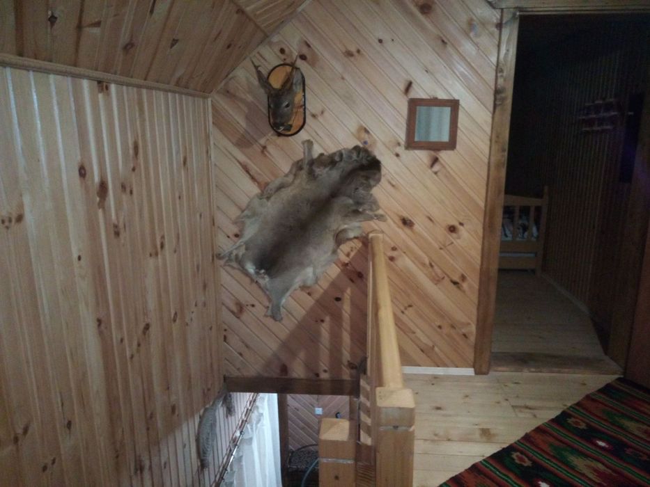 Котедж в Карпатах «Карпатський світанок " чекає саме на тебе!!