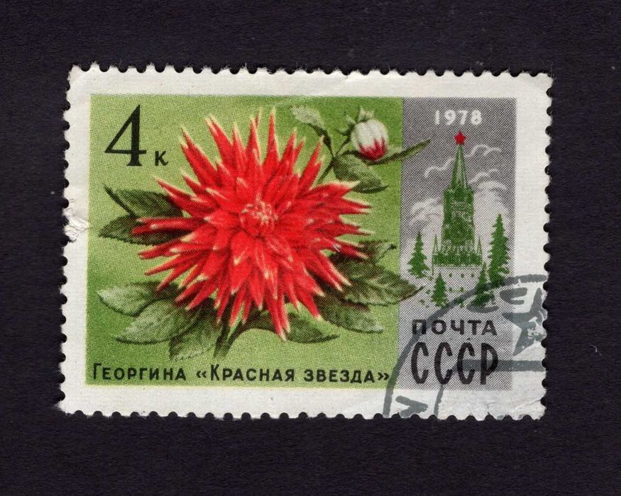 Znaczek Moskiewskie kwiaty Fi 4724 ZSRR 1978 U