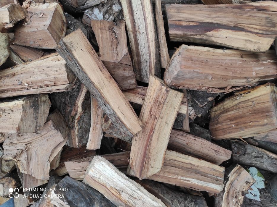 Продам сухі дрова твердих порід,ГРАБ,БУК, ЯСЕНЬ.Є фруктові дерева .