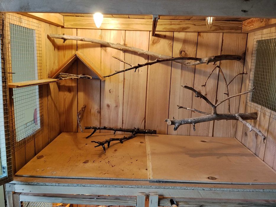 Regał Woliera dla kanarków