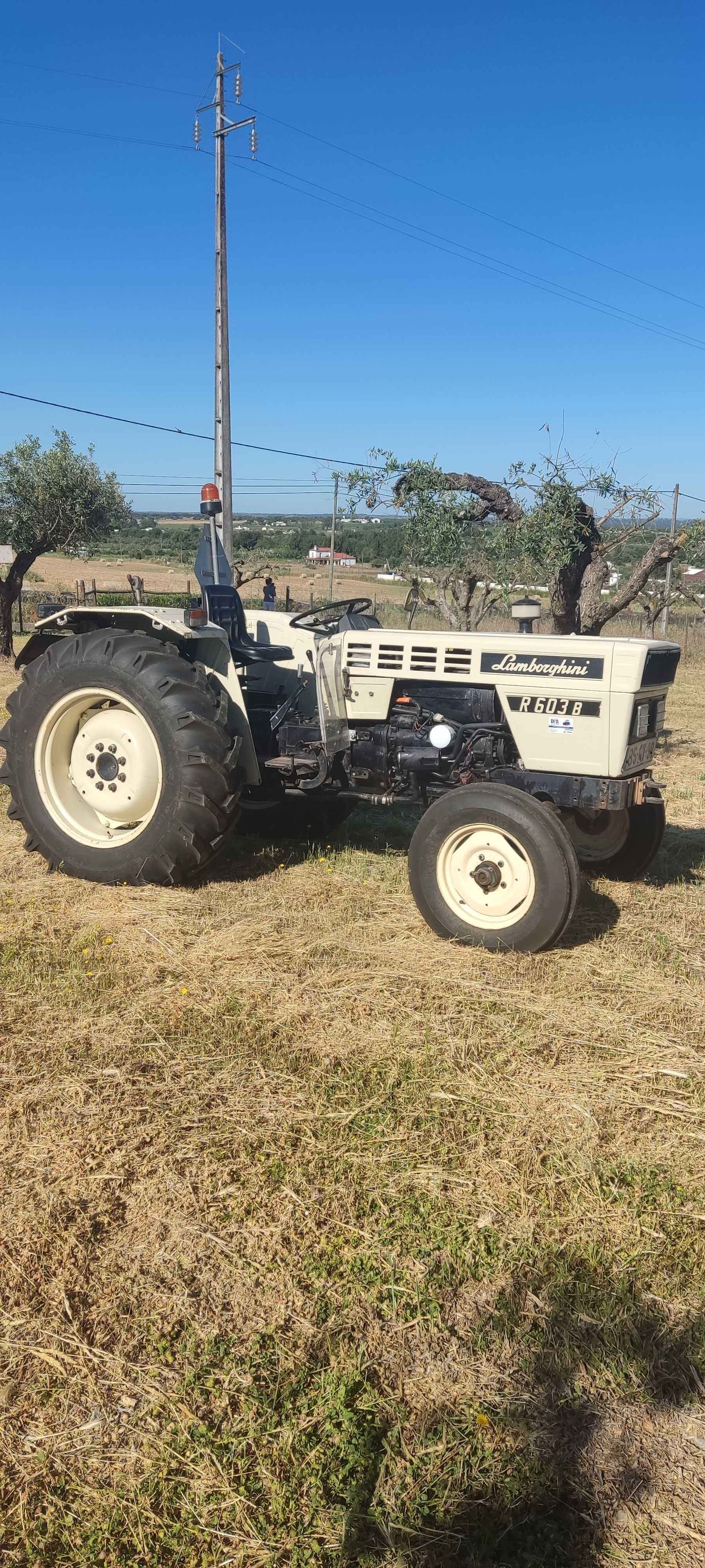 Trator LAMBORGHINI R 603 B com direção hidráulica