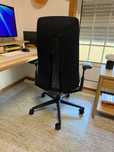 Haworth Fern - Black - Sem lumbar support