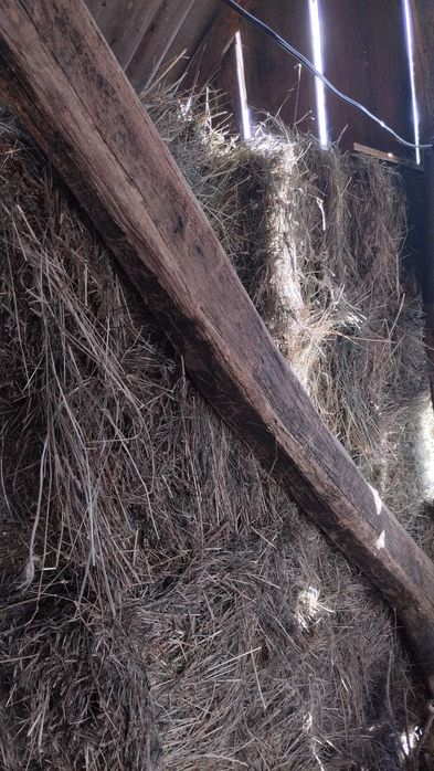 Продам сіно, самовивіз