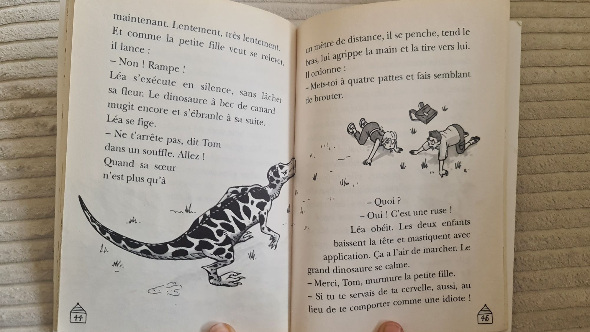 La cabane magique livre français po francusku la vallée des dinosaures