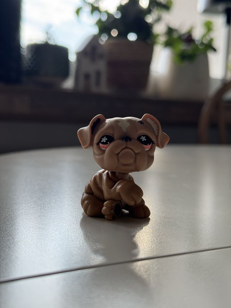 Figurki Littlest Pet Shop