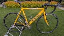 Author 2203 rama 540 Campagnolo
