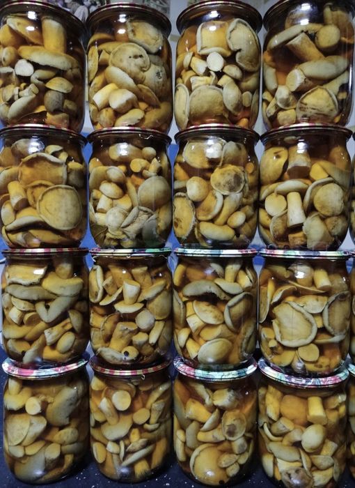 Мариновані грибочки, смачний маринад, широкий асортимент різних видів