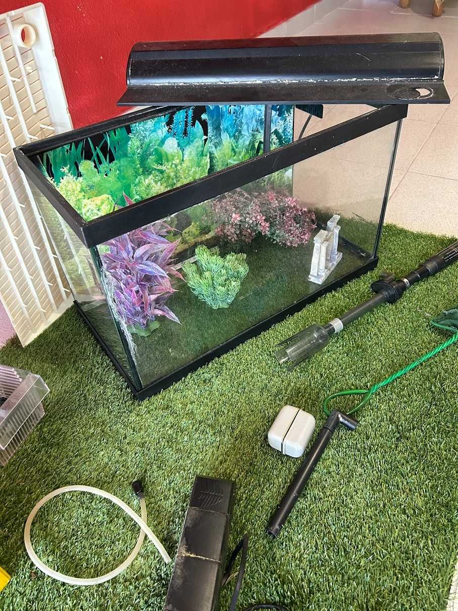 Set de Aquariofilia com Aquário e Acessórios (50 cm x 30 cm x 23 cm)