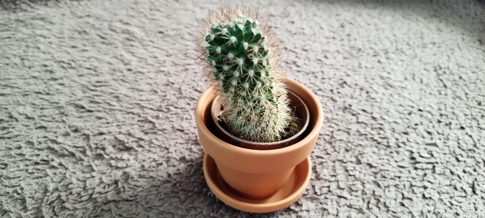 Doniczka z podstawką Prosta NATUR. CERAMIKA TERAKOTA.Śr. 6cm