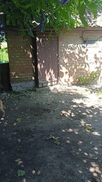 Продам дом  в селе Новая осота Кировоградская обл или обмен Срочно!