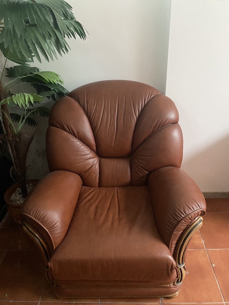 Sofas Castanhos em Pele