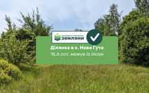 Продаж ділянки з виходом у ліс в с. Нова Гута