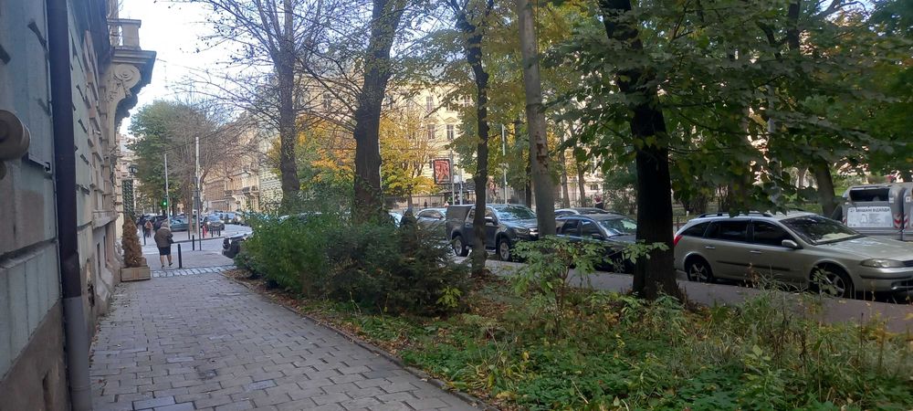 Здам стильну затишну 1 кімнатну студію ч центрі Львова. Університет