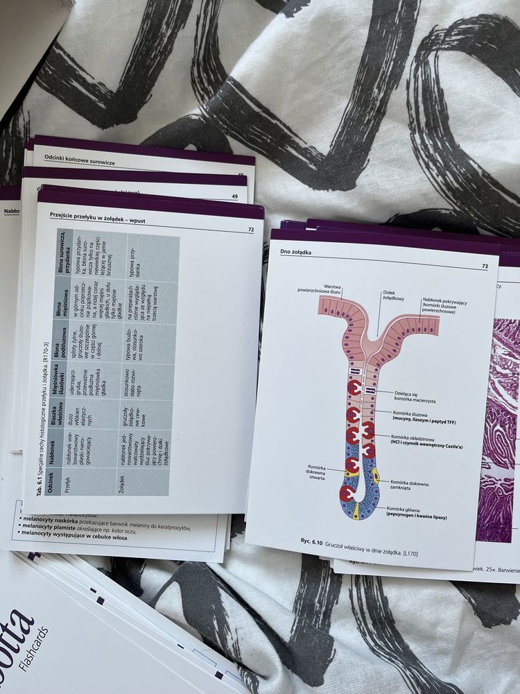 Histologia fiszki - Sobotta