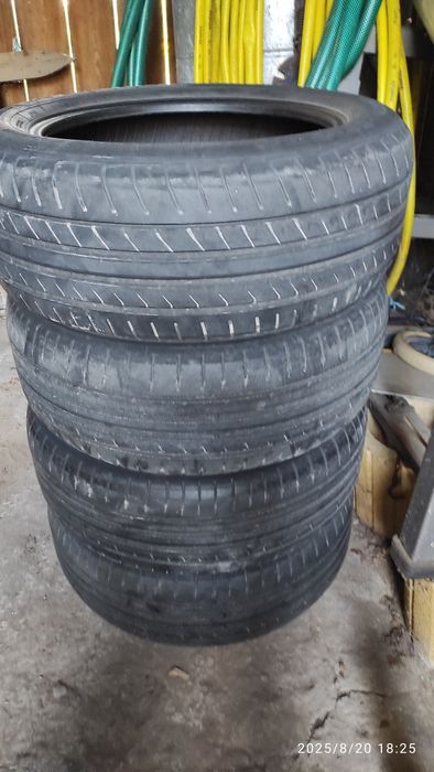 Opony letnie Dunlop 205/55/16