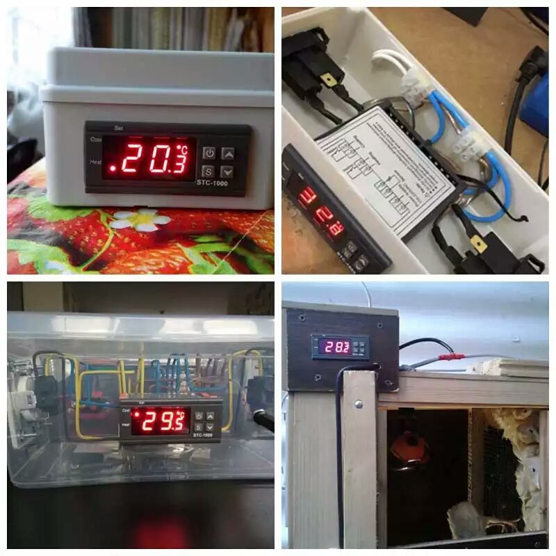 контроллер температуры для инкубатора терморегулятор, STC-1000 220V