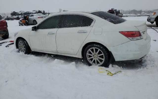 Фари Розборка Honda Accord VIII USA Хонда Аккорд 8 США Фары Фара Шрот