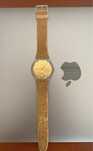 Relogio Swatch Fiori
