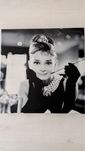 Audrey Hepburn - plakat na ramie