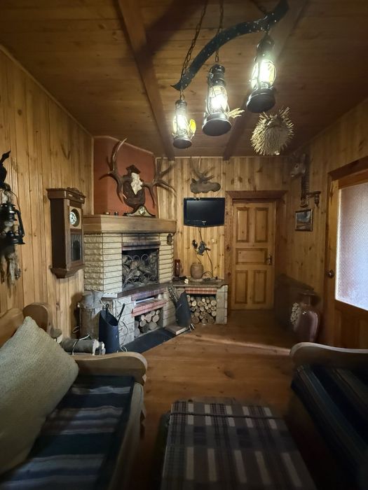 Затишний заміський будинок із каміном та атмосферою мисливського дому!