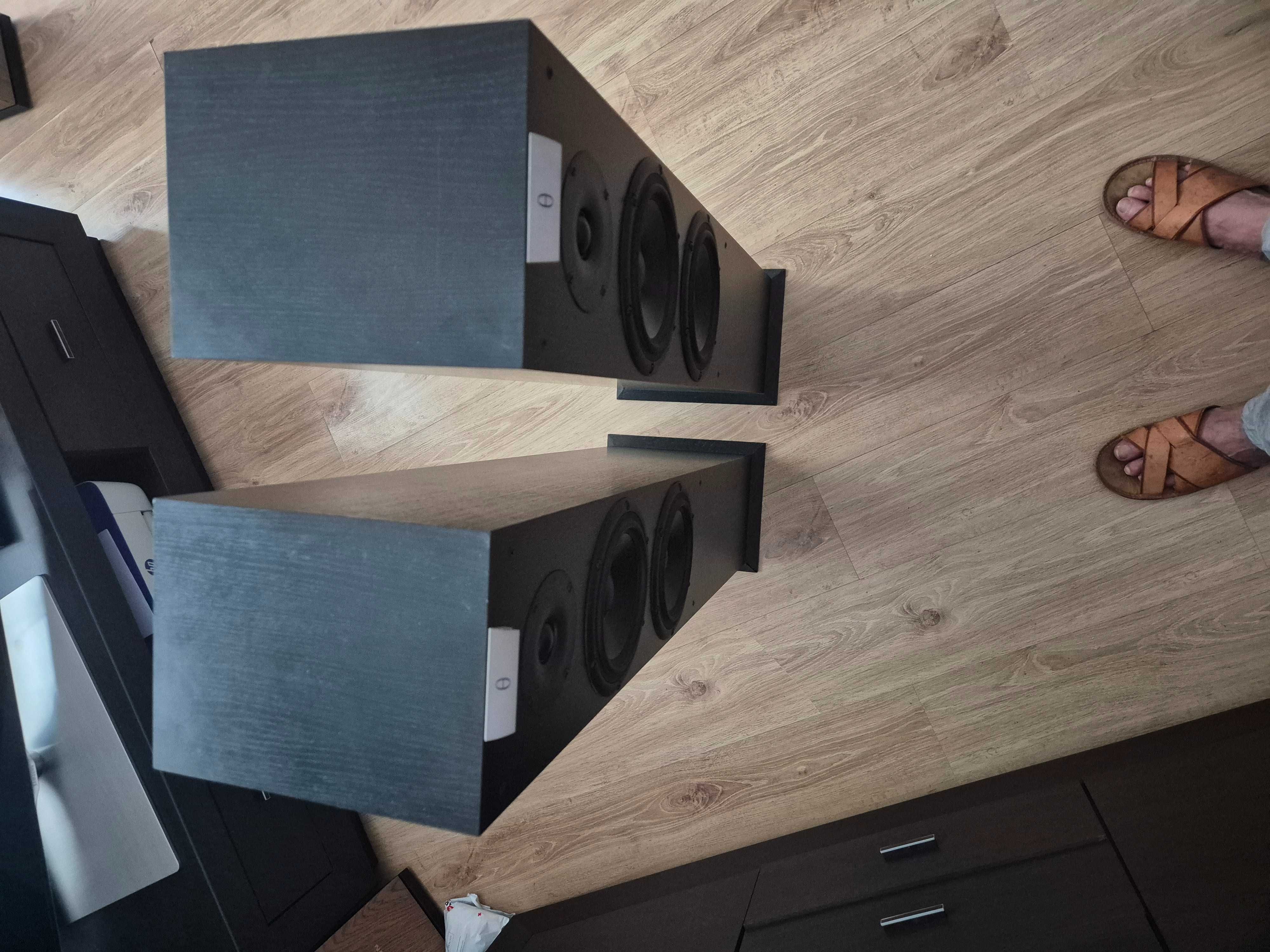 Audiovector C-3 kolumny podłogowe.Cena za komplet.