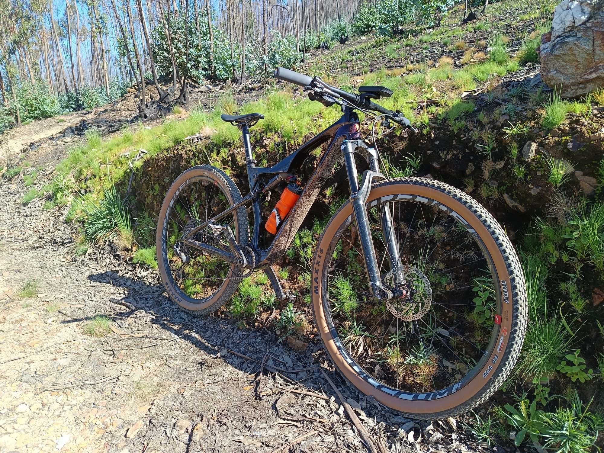 Bicicleta coluer stake com upgrades M
