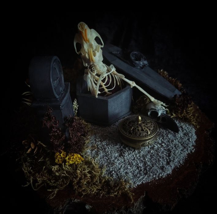 Taksydermia szkielet szczura