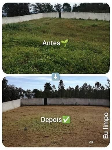 Limpeza de terrenos