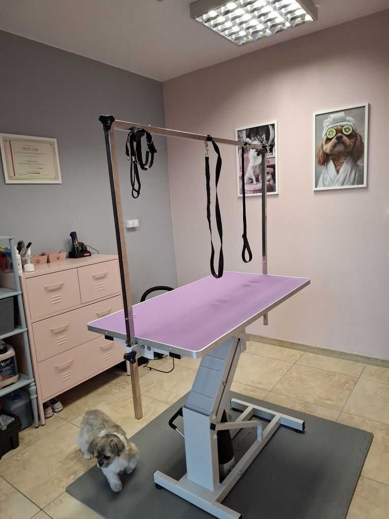Fryzjer /Groomer dla psów Zagnańsk