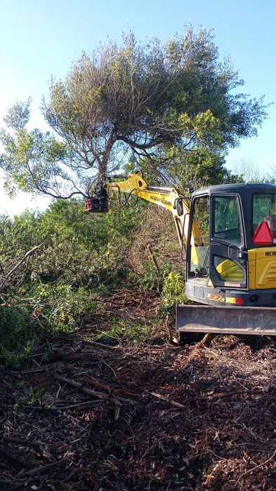 Limpezas agrícolas e florestais