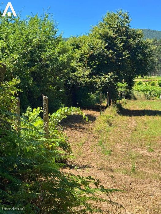 Terreno Abade de Neiva