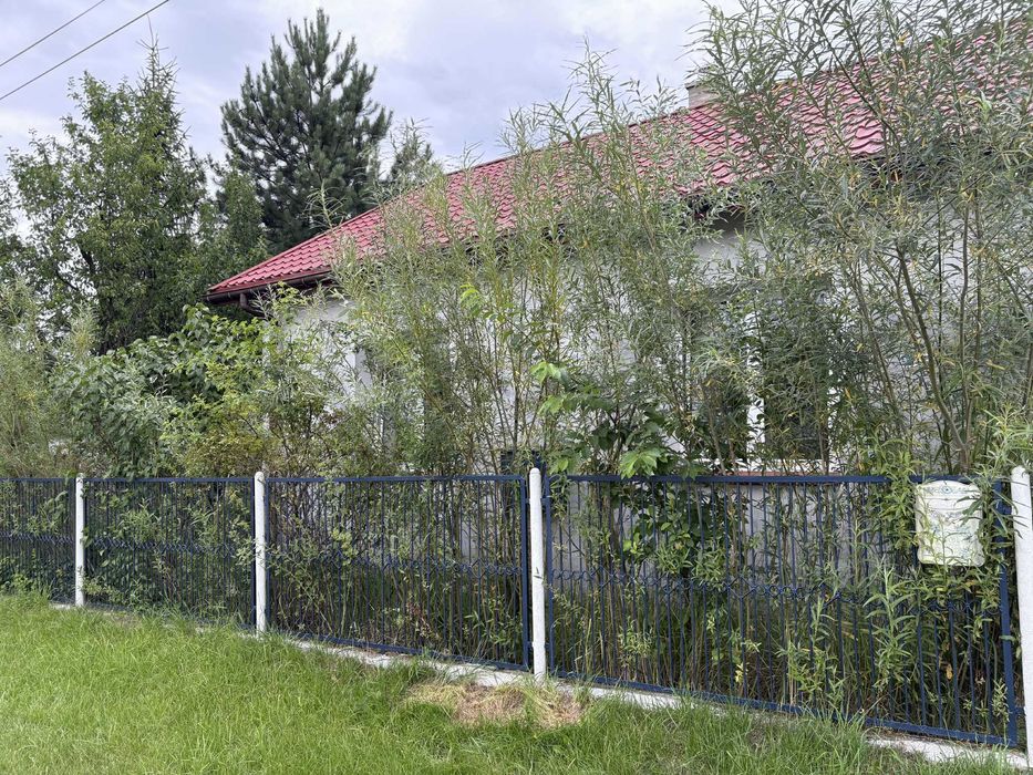 Dom na Jurze z dużą działką