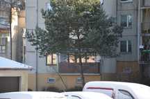 Apartament JANEK  - Duszniki Zdró, 2 pokoje, kuch. łazienka