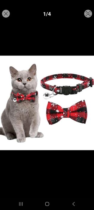Coleira gato nova