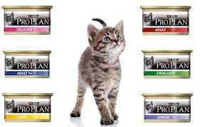 Корма для котов и собак Purina Pro Plan Про план