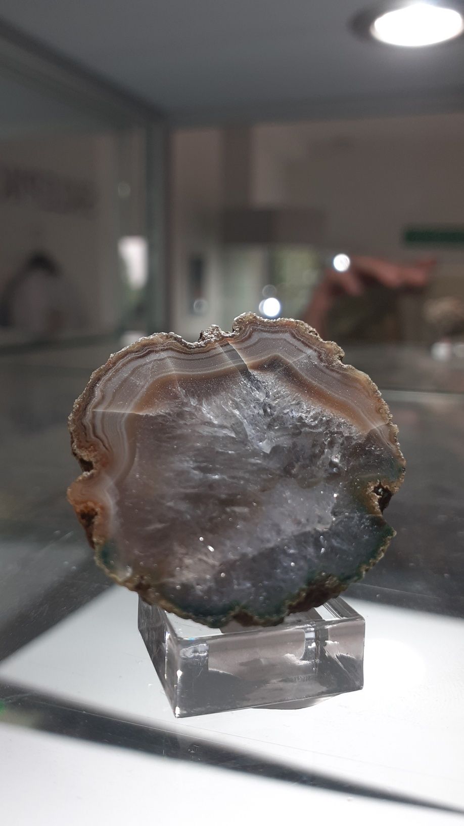 Prasiolit , Agat z prasiolitem z Polski. Mineral
