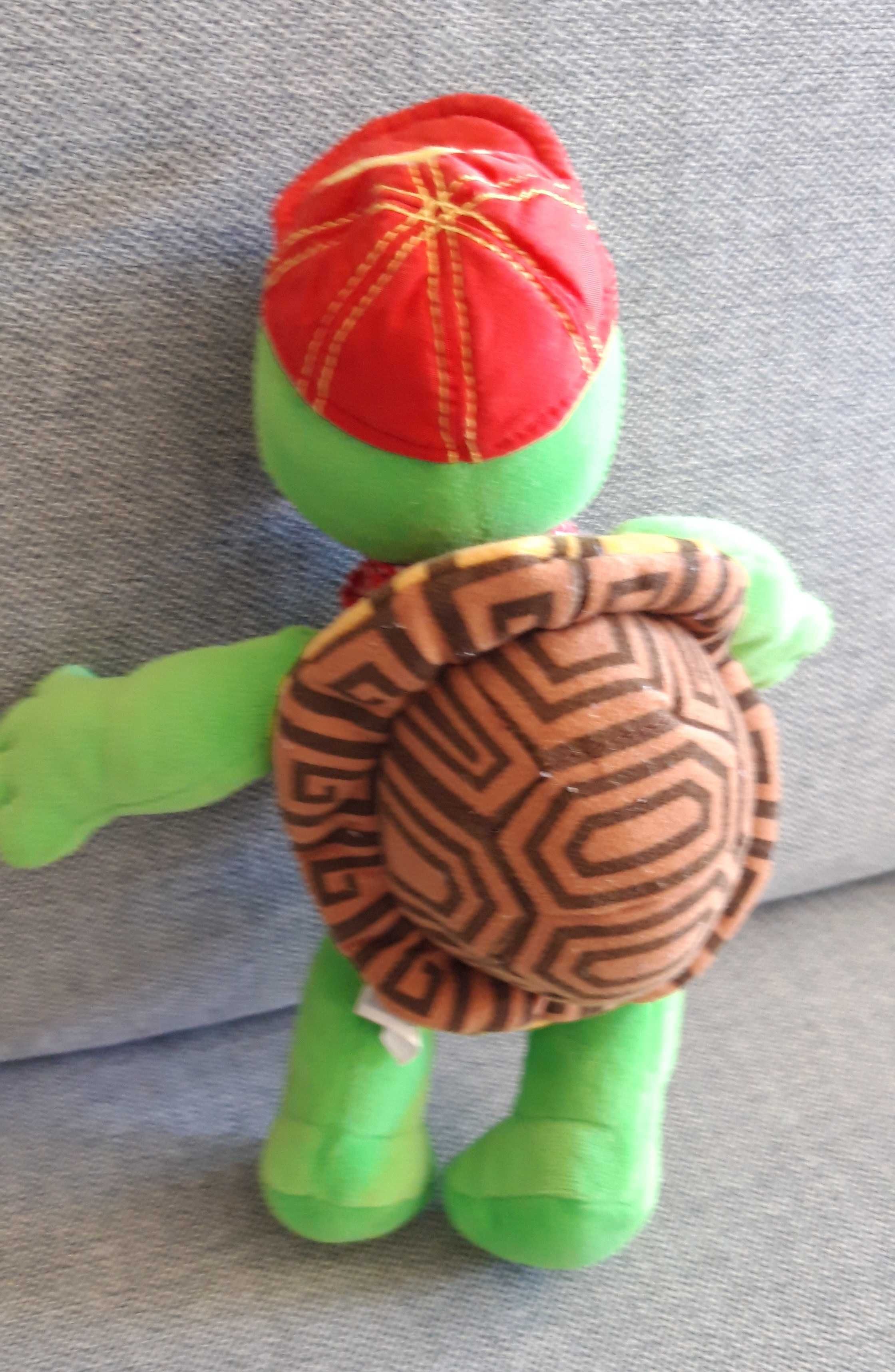 Peluche Tartaruga Franklin