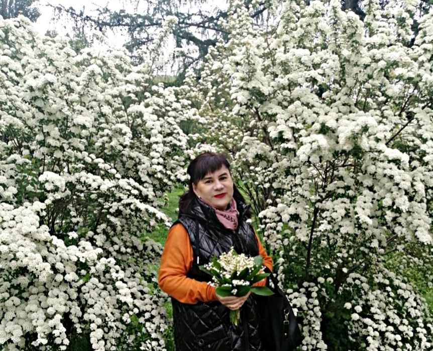 Українська мова, література НМТ-2026