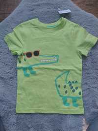T-shirt krokodyl