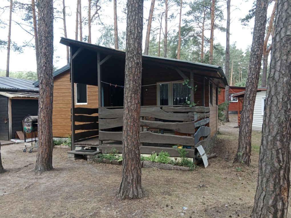 Domek w Sielpi , blisko centrum, weekendy