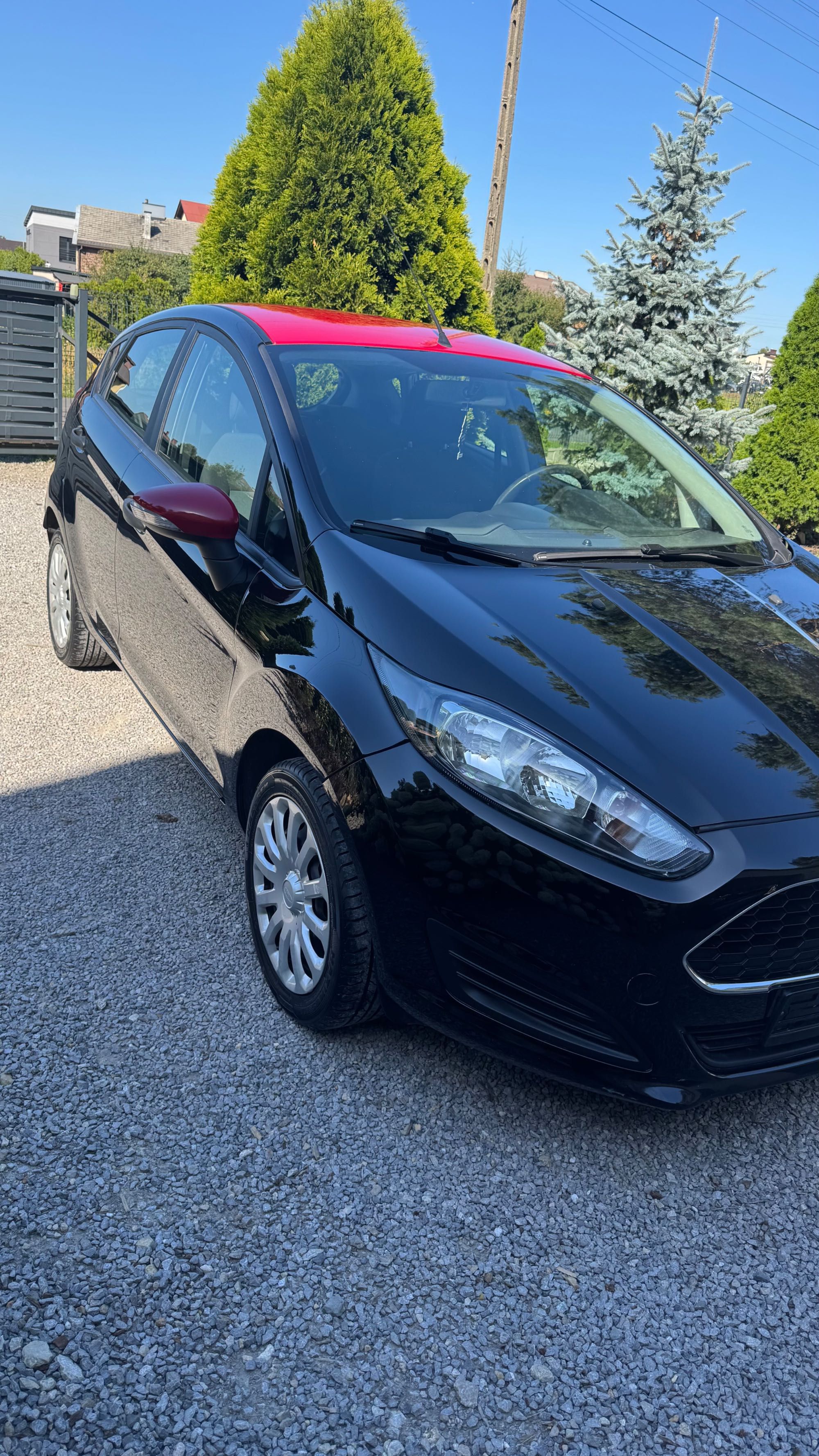 Fajny Ford Fiesta 1.25 Ambiente!