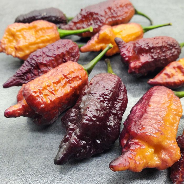 Насіння гострого перцю (Carolina Reaper, Habanero, Jalapeno та інші)