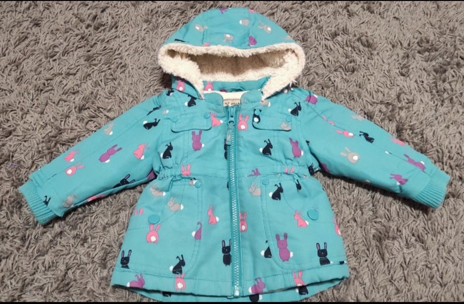 Kurteczka zimowa